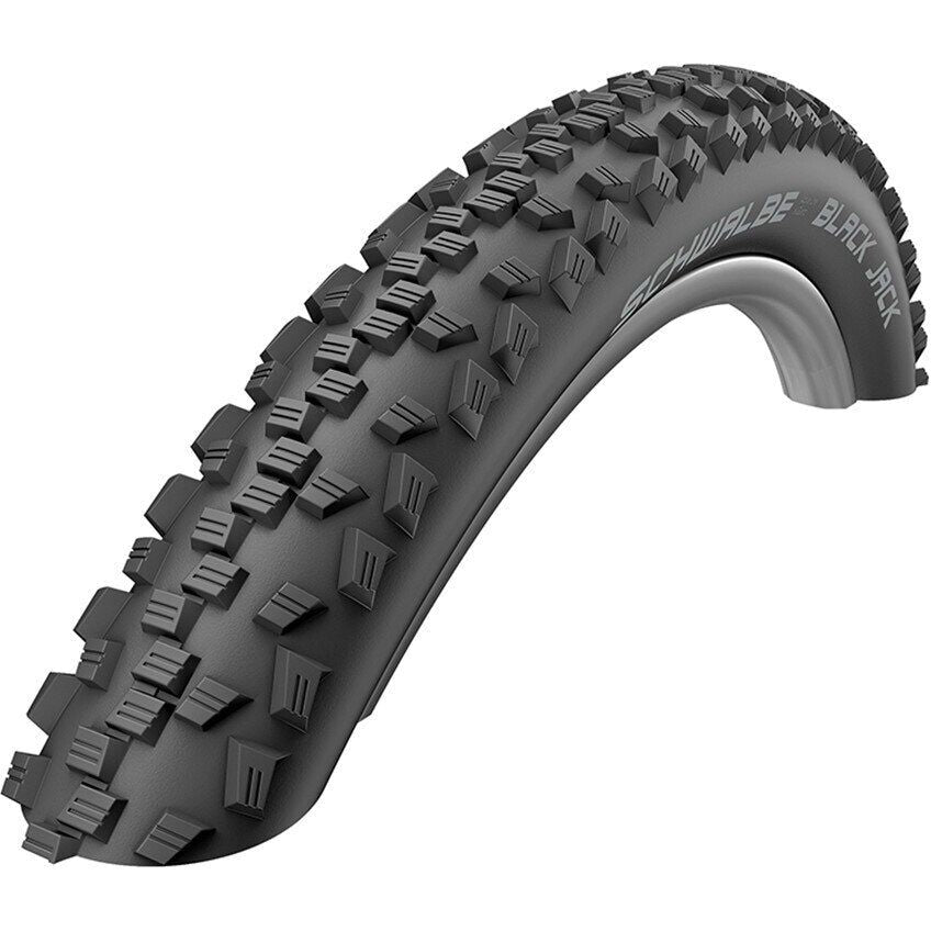 Schwalbe Black Jack Tire 18x1.90"