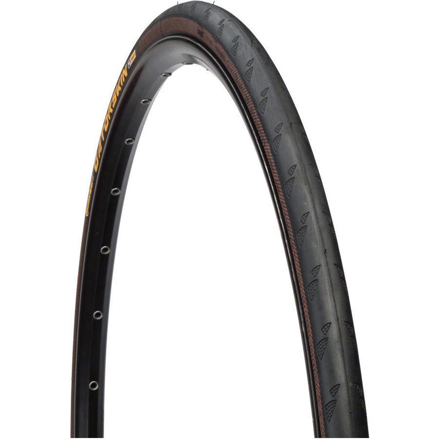 Continental Gatorskin Tire - Clincher, Wire, Black, 180tpi